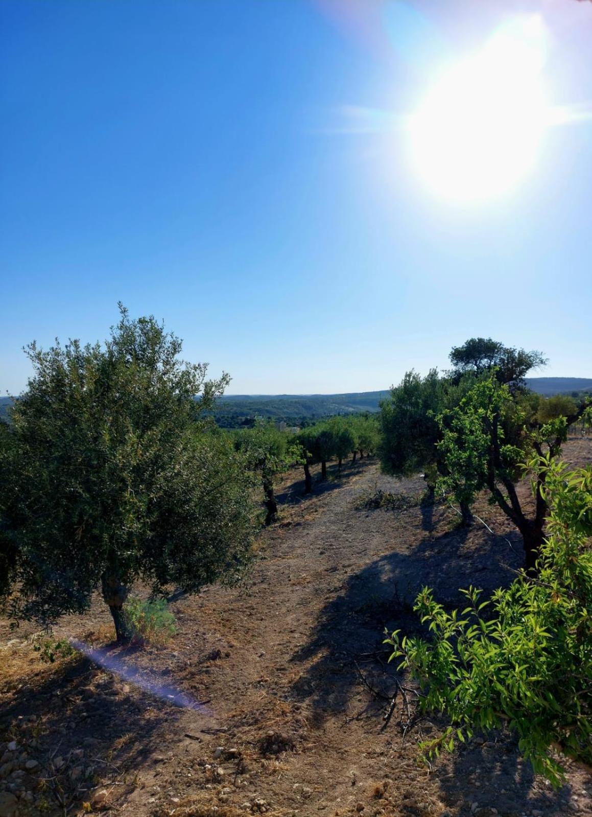 "Bnb Noto" - Charming Tiny House ภายนอก รูปภาพ