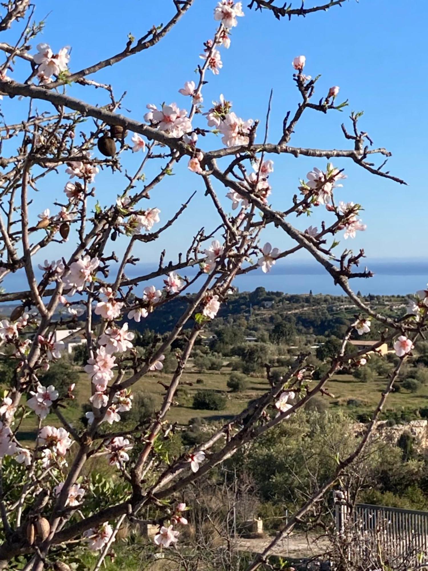 "Bnb Noto" - Charming Tiny House ภายนอก รูปภาพ